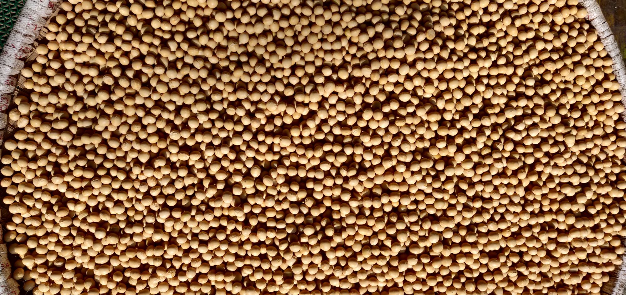 White Soybean Local 1 Kg